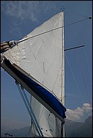 DSC_9061.JPG