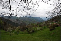 DSC_9101.JPG