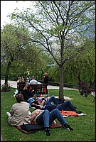 DSC_9411.JPG