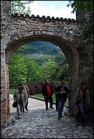 DSC_9423.JPG