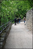 DSC_9429.JPG
