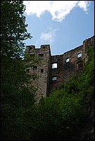 DSC_9431.JPG