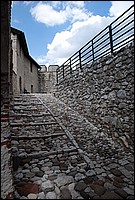 DSC_9514.JPG