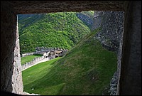 DSC_9515.JPG