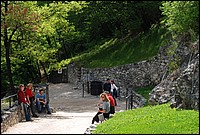 DSC_9529.JPG