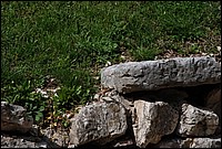 DSC_9533.JPG