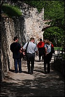 DSC_9539.JPG