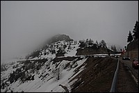 DSC_9554.JPG