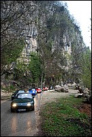 DSC_9559.JPG