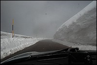 DSC_9568.JPG