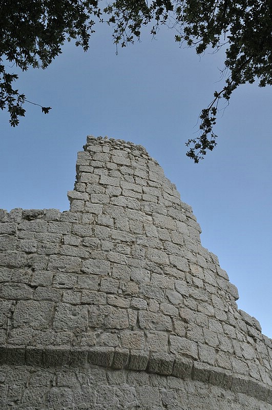 DSC_5200.JPG