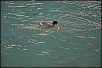 DSC_5003.JPG