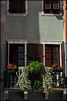DSC_5039.JPG