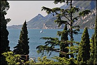 DSC_5080.JPG