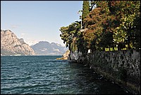 DSC_5135.JPG