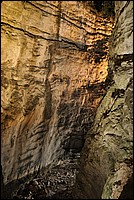 DSC_5376.JPG