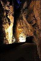 DSC_5386.JPG