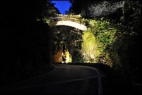DSC_5392.JPG