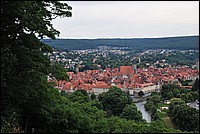 DSC_3110.JPG