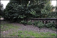 DSC_3146.JPG