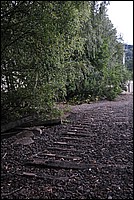 DSC_3157.JPG