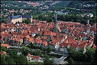 DSC_3210.JPG