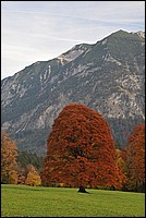DSC_5718.JPG