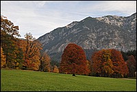DSC_5723.JPG