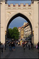 DSC_4427.JPG