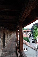 DSC_1704.JPG