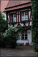 DSC_1797.JPG