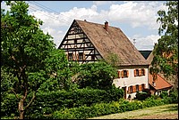 DSC_3760.JPG
