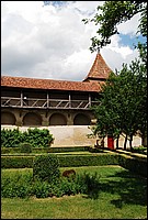 DSC_3799.JPG