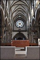 DSC_6993.JPG