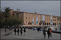 DSC_2251D.jpg