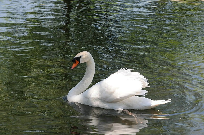 DSC_0405.JPG