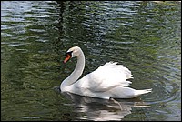 DSC_0405.JPG