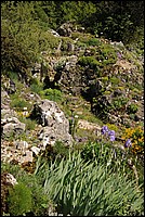 DSC_0436.JPG