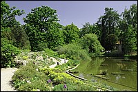 DSC_0437S.JPG