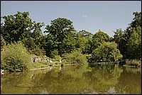 DSC_0450S.JPG