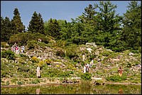 DSC_0451G.JPG