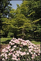 DSC_0452GS.JPG