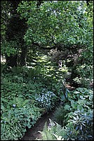 DSC_0456.JPG