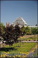 DSC_0481G.JPG
