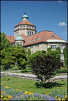 DSC_0491.JPG