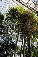 DSC_0497.JPG