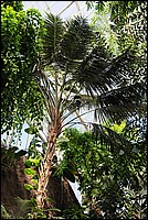 DSC_0499.JPG