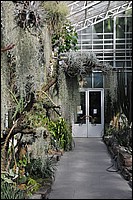 DSC_0503D.JPG