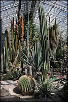 DSC_0505.JPG