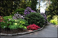 DSC_0514.JPG